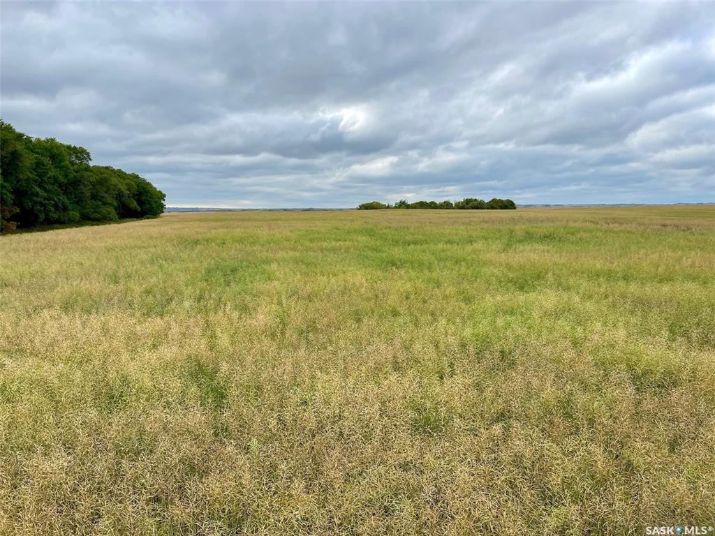 Fifth View of RM of Perdue Farmland - 126 Acres (Konotopetz), Perdue Rm No. 346, Saskatchewan, S0K 3C0
