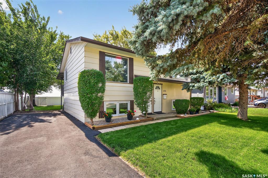 MLS® listing #SK015795 for sale located at 1231 Spadina Street