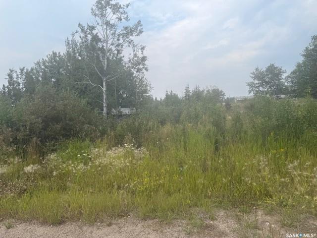 131 Olsen Street, SK016337, Saskatchewan,