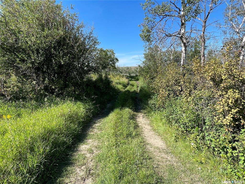 Fourth View of Langham Riverfront Land - 120 Acres (Kerlis), Corman Park Rm No. 344, Saskatchewan, S0K 2L0