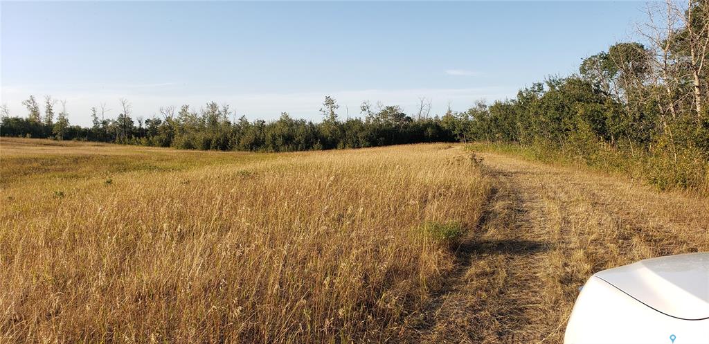 Second View of Wakaw 74 ac Pastureland with Finished Shop, Fish Creek Rm No. 402, Saskatchewan, S0K 4P0