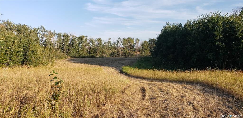 Fifth View of Wakaw 74 ac Pastureland with Finished Shop, Fish Creek Rm No. 402, Saskatchewan, S0K 4P0