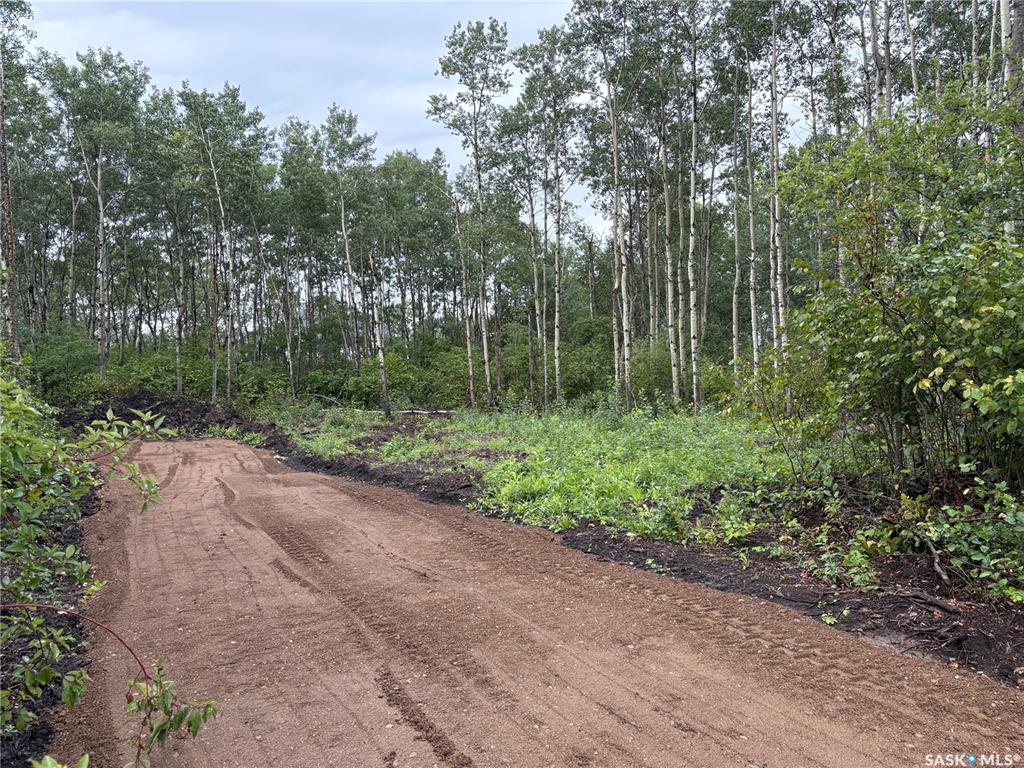 302 Black Bay, SK016825, Saskatchewan,