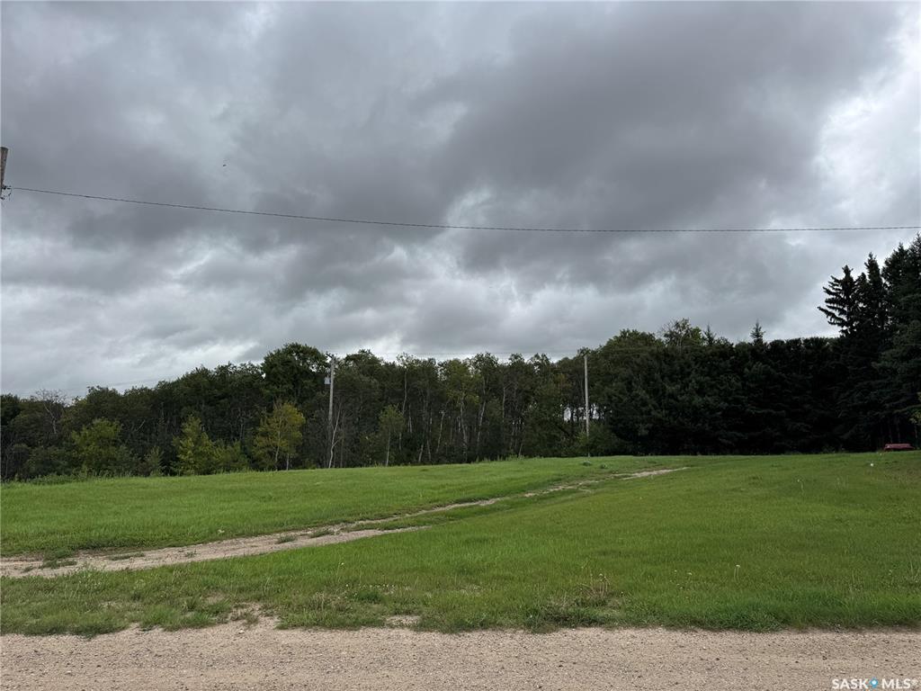 MLS® listing #SK016910 for sale located at 607 Main Street