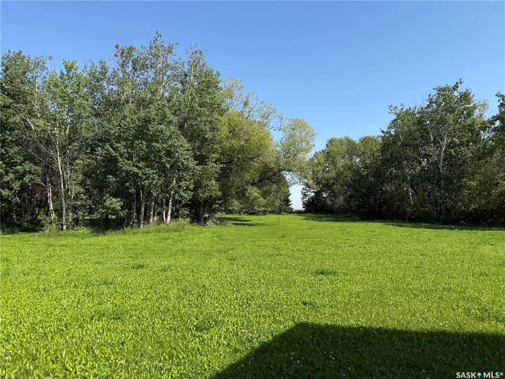 Fifth View of Hamilton Acreage, Torch River Rm No. 488, Saskatchewan, S0J 3B0