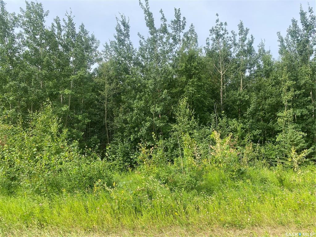 HWY 2 N acreage land, SK017017, Saskatchewan,