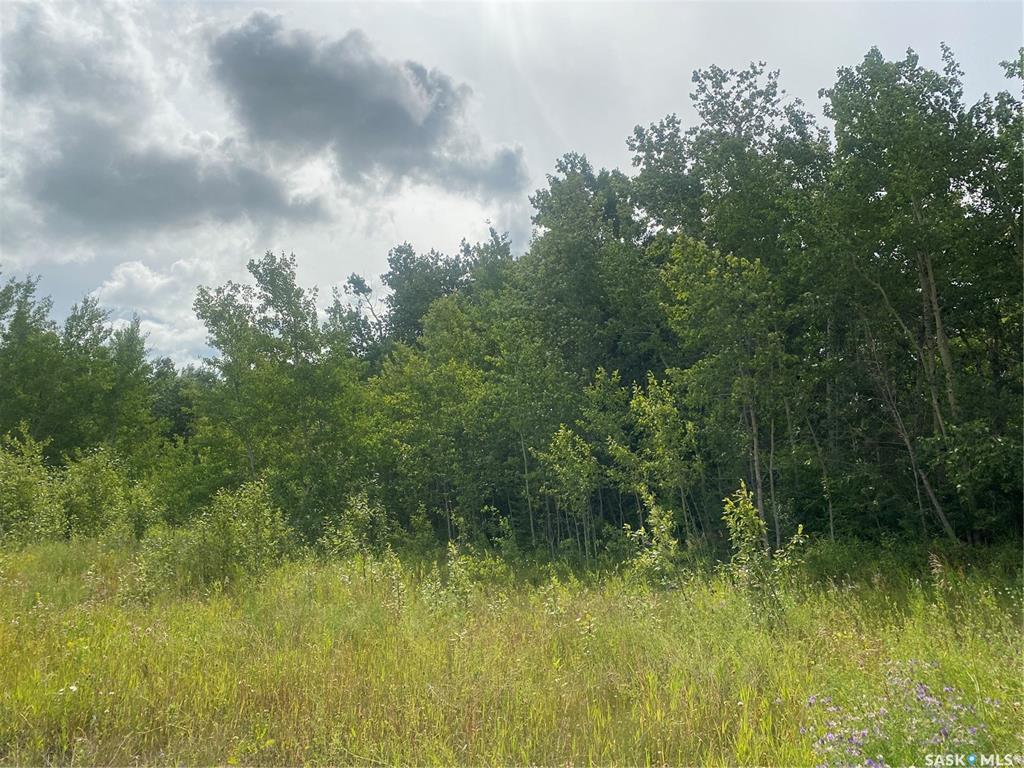 Fourth View of HWY 2 N acreage land, Paddockwood Rm No. 520, Saskatchewan, S0J 2N0