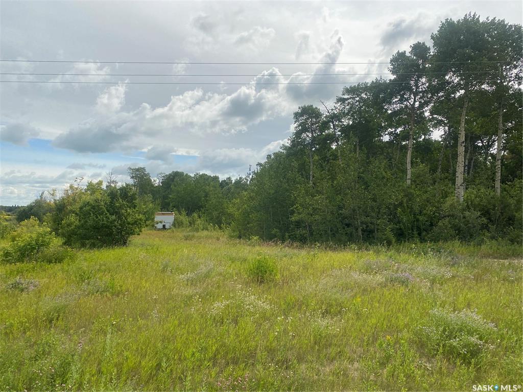 Fifth View of HWY 2 N acreage land, Paddockwood Rm No. 520, Saskatchewan, S0J 2N0