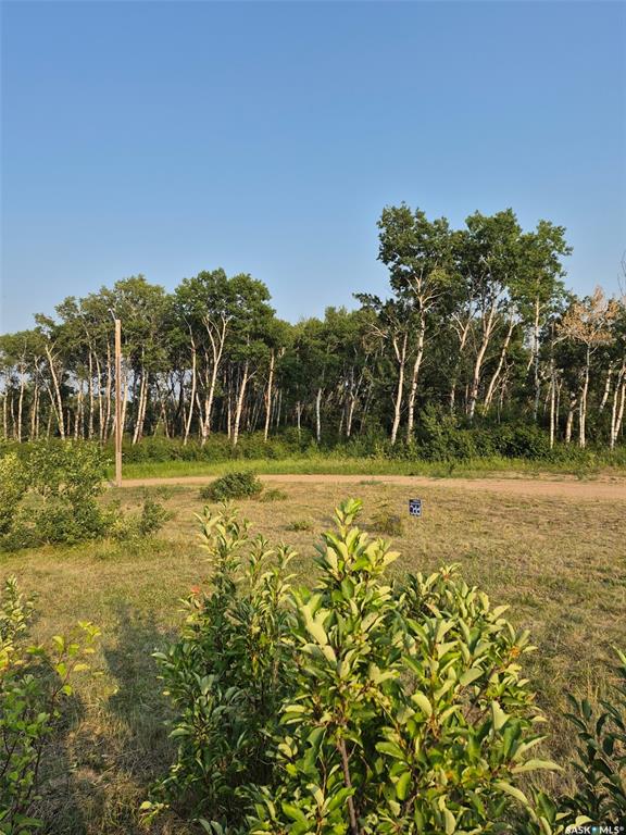 Second View of 309 Sandy Crescent, Good Lake Rm No. 274, Saskatchewan, S0A 0L0