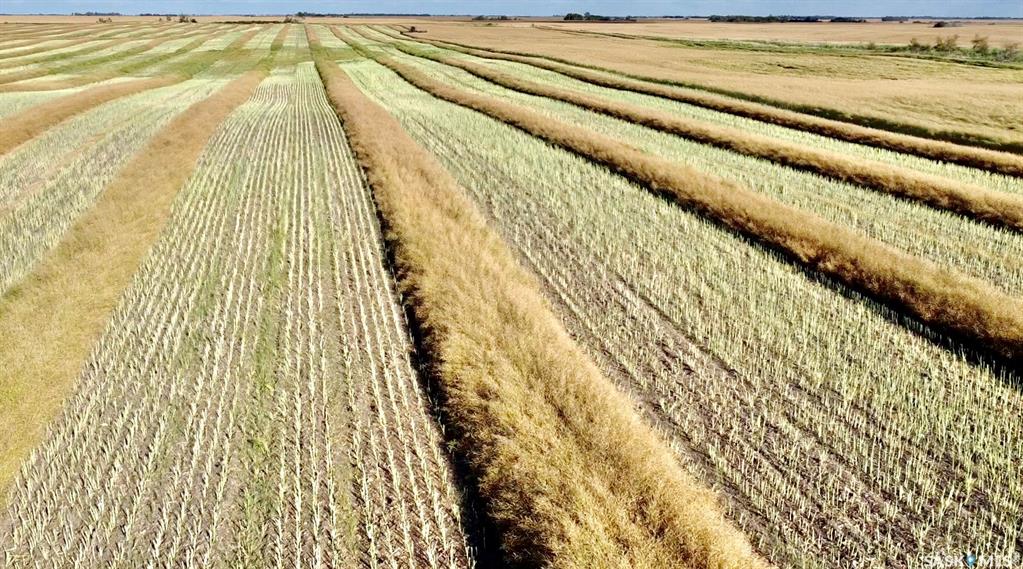 RM of Laird Grain Land, SK017659, Saskatchewan,