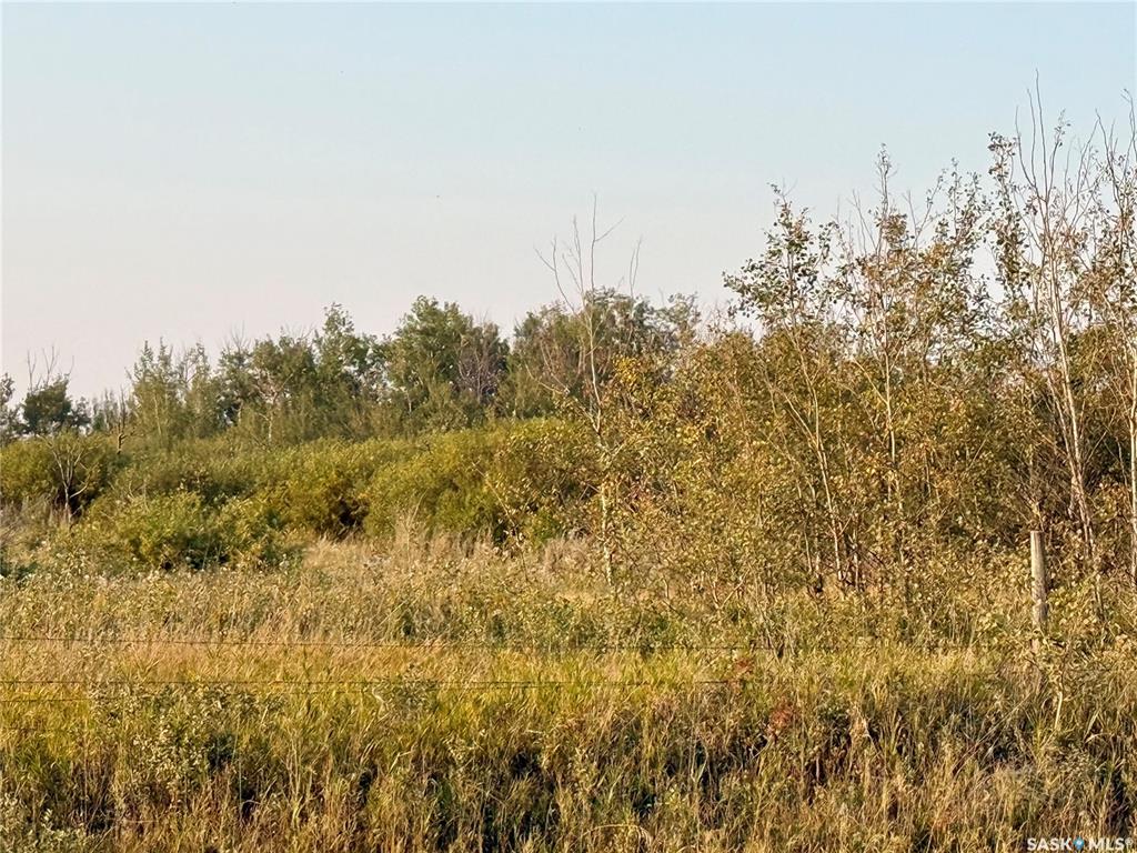 Lutheran Road - 10 Acres, SK017774, Saskatchewan,