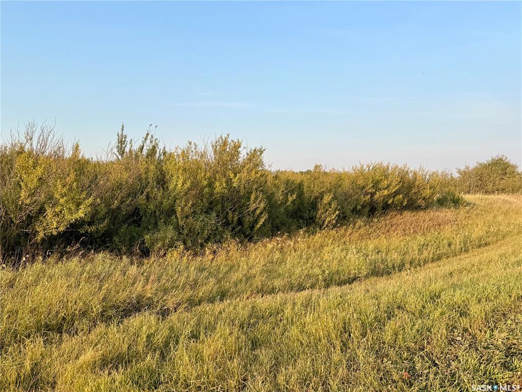 Fourth View of Lutheran Road - 10 Acres, Corman Park Rm No. 344, Saskatchewan, S7K 5W1