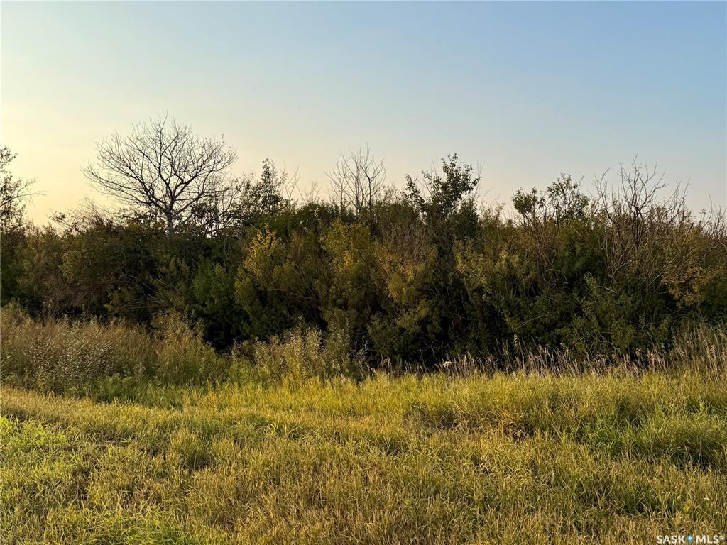 Fifth View of Lutheran Road - 10 Acres, Corman Park Rm No. 344, Saskatchewan, S7K 5W1