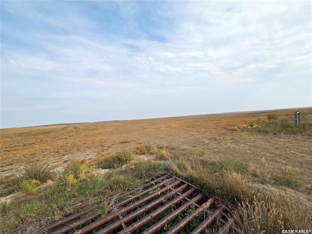 Fourth View of Dimmock Land, Piapot Rm No. 110, Saskatchewan, S0N 1N0