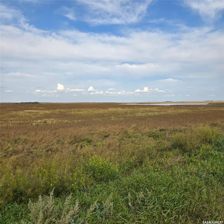 Colonsay Highway 2 Farmland, SK018440, Saskatchewan,
