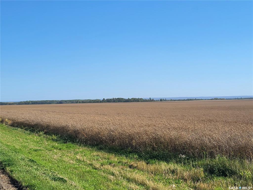 Carrot River 319 acres Grain & Pastureland, SK019045, Saskatchewan,