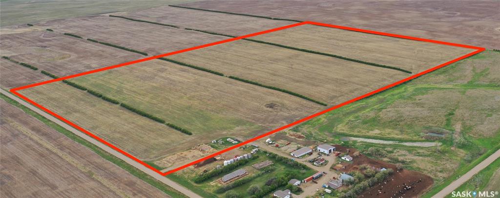 Wiseton 110 acres Grain Farmland, SK019397, Saskatchewan,
