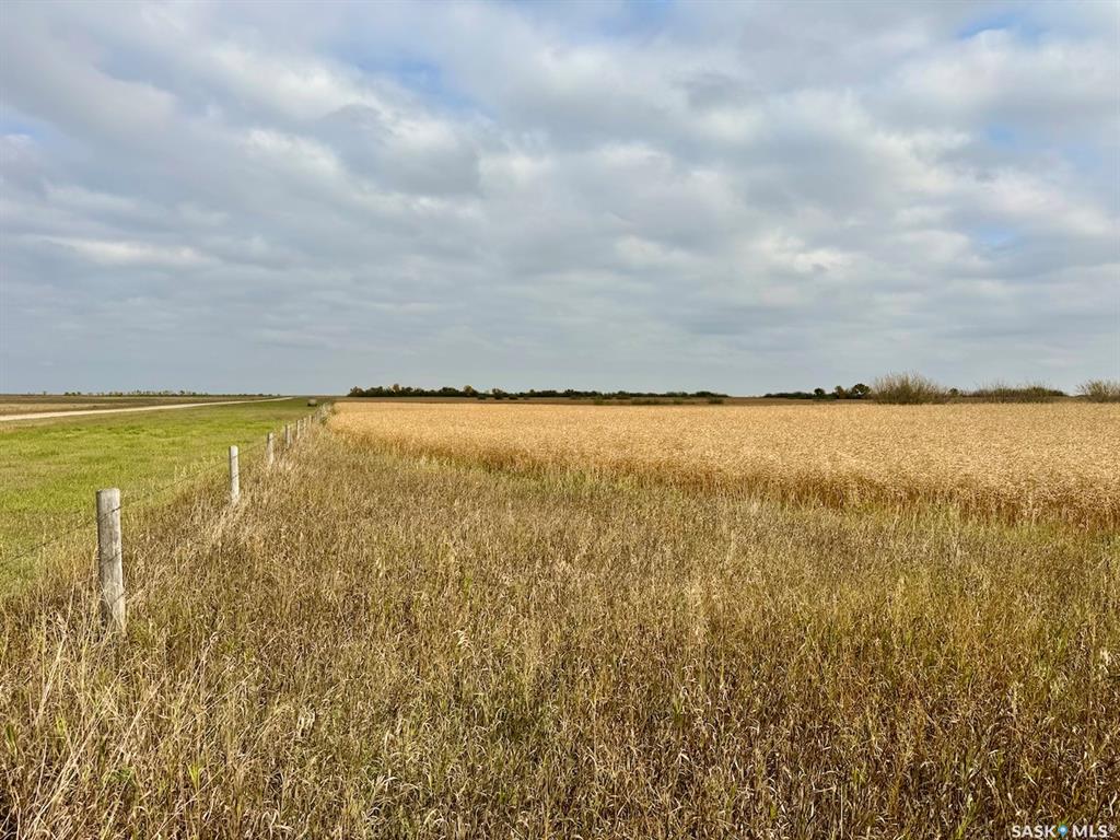 MLS® listing #SK019782 for sale located at Davidson 1,602 acres Hay & Grain Farmland