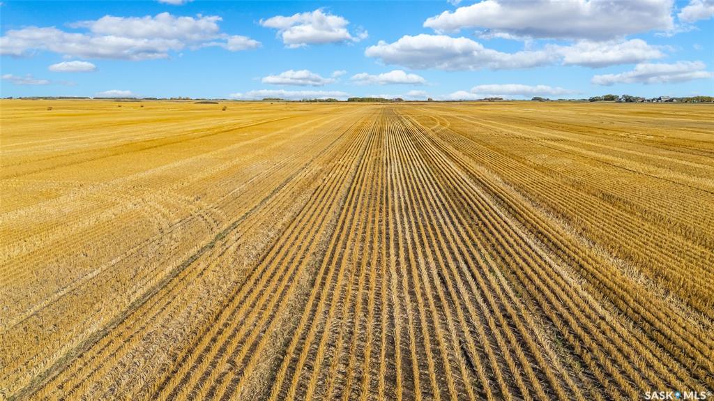 Balion Farmland, SK020817, Saskatchewan,