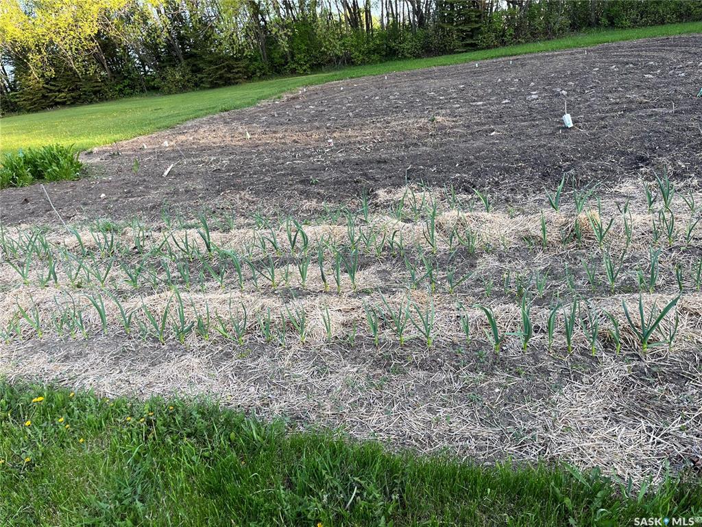 Fifth View of Krueger Acreage, Fletts Springs Rm No. 429, Saskatchewan, S0K 3V0