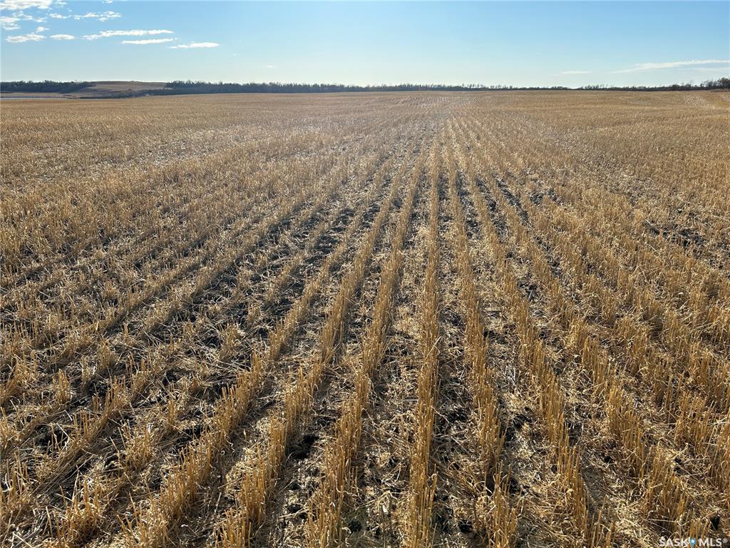 Prud’Homme 475 acres Grain Farmland, SK021798, Saskatchewan,