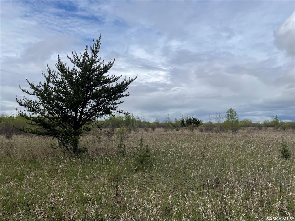 Fourth View of 5.5km South of Dorintosh Lot 3, Meadow Lake Rm No.588, Saskatchewan, S0M 0T0