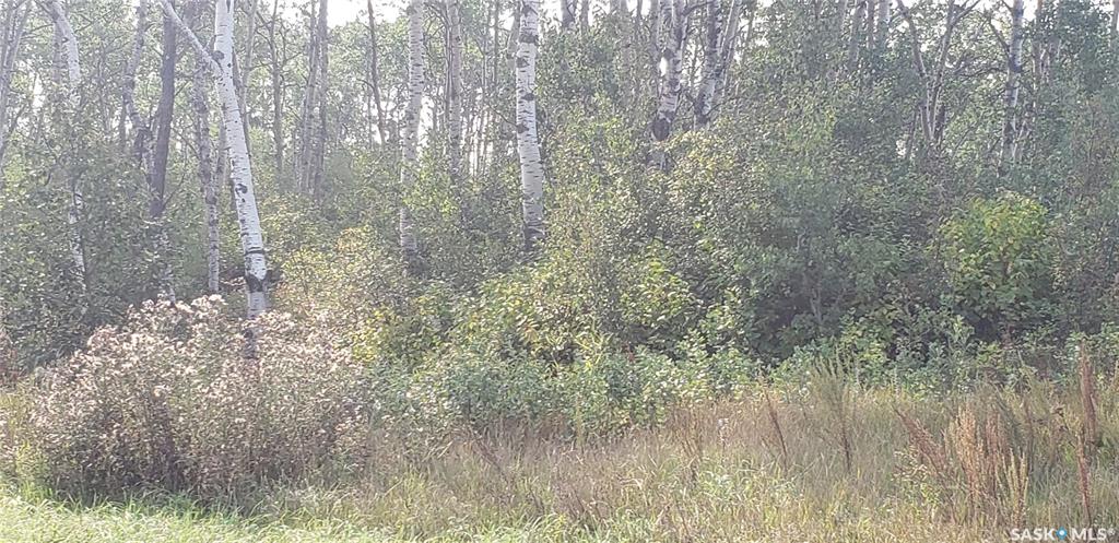 Lot 12 Whitetail Trail, SK023603, Saskatchewan,