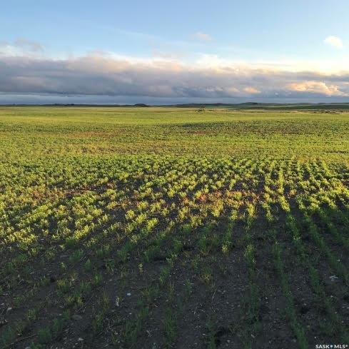 MLS® listing #SK023618 for sale located at Acreage A Lovering Lake