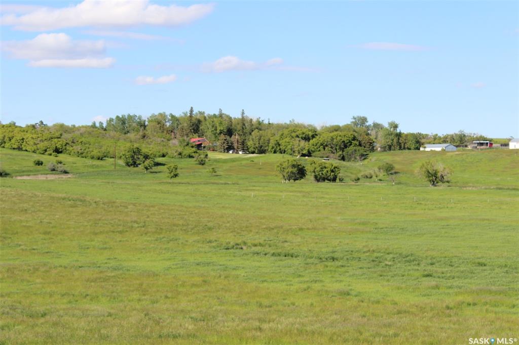 Large Cattle Ranch, SK024167, Saskatchewan,