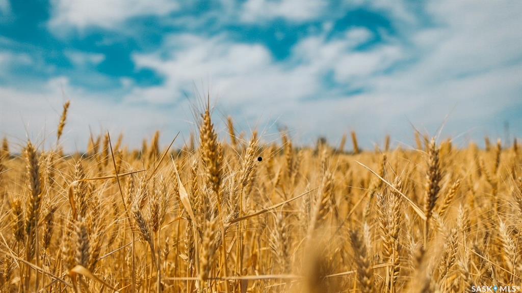 Lessmeister Quarter Section, SK024514, Saskatchewan,