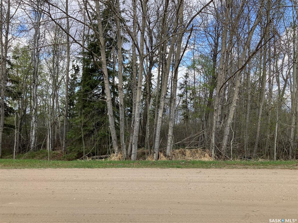 105 Spruce Avenue W, SK024928, Saskatchewan,