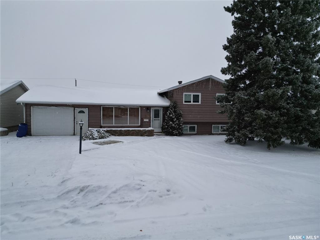 MLS® listing #SK025413 for sale located at 129 Dianne Street