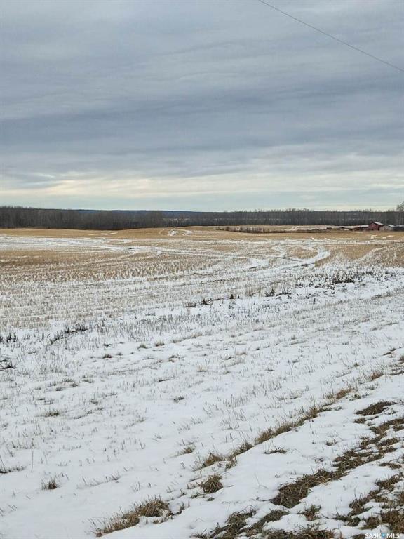 Second View of NE-26-37-05-W2, Endeavour, Saskatchewan, S0A 0W0
