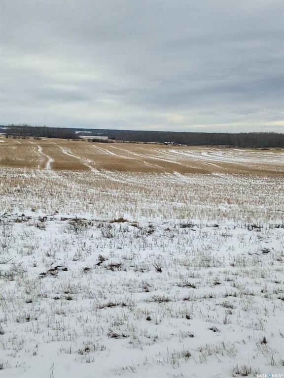 Third View of NE-26-37-05-W2, Endeavour, Saskatchewan, S0A 0W0