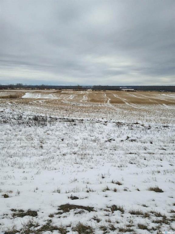 Fourth View of NE-26-37-05-W2, Endeavour, Saskatchewan, S0A 0W0