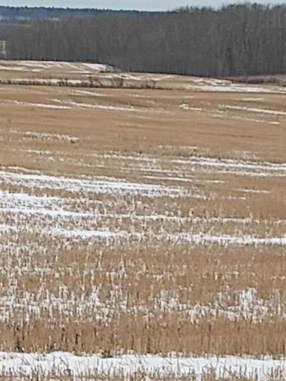 Fifth View of NE-26-37-05-W2, Endeavour, Saskatchewan, S0A 0W0