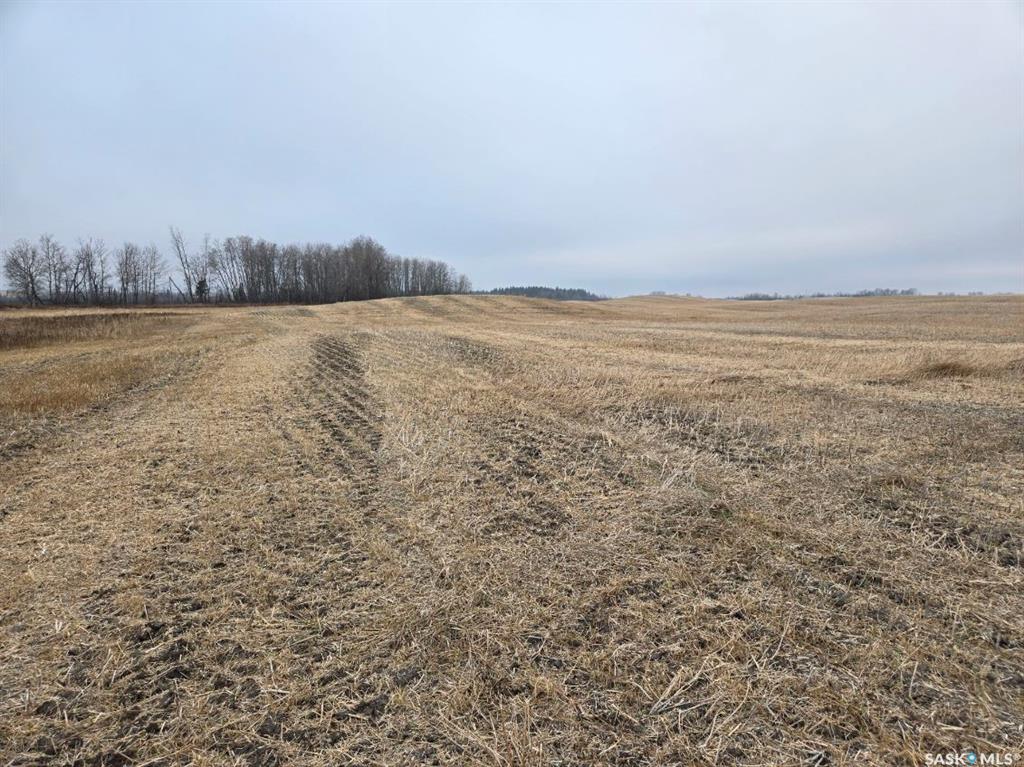 Guenter Land, SK026353, Saskatchewan,