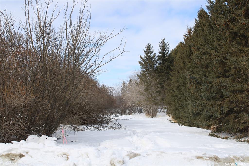 Fourth View of 730 Broadway Street W, Orkney Rm No. 244, Saskatchewan, S3N 0P3