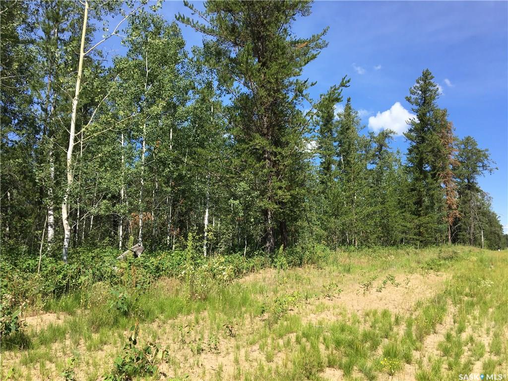 Fourth View of Prime Acreage Parcel 3.13 Acres, Nipawin Rm No. 487, Saskatchewan, S0E 1E0