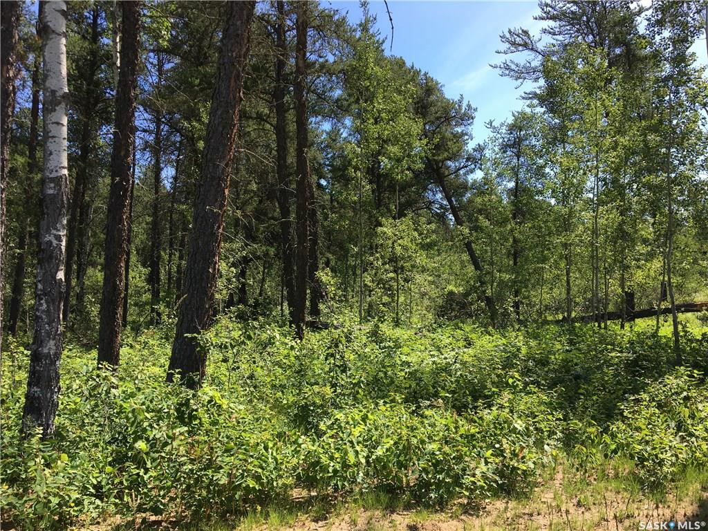 Fifth View of Prime Acreage Parcel 3.13 Acres, Nipawin Rm No. 487, Saskatchewan, S0E 1E0