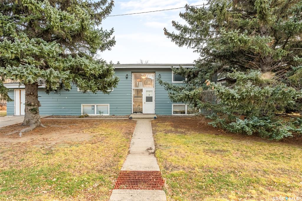 MLS® listing #SK026740 for sale located at 315 Birch Street