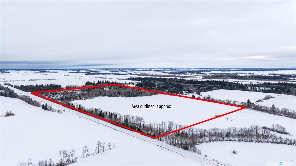 Kalyna Samburg Half, SK026798, Saskatchewan,