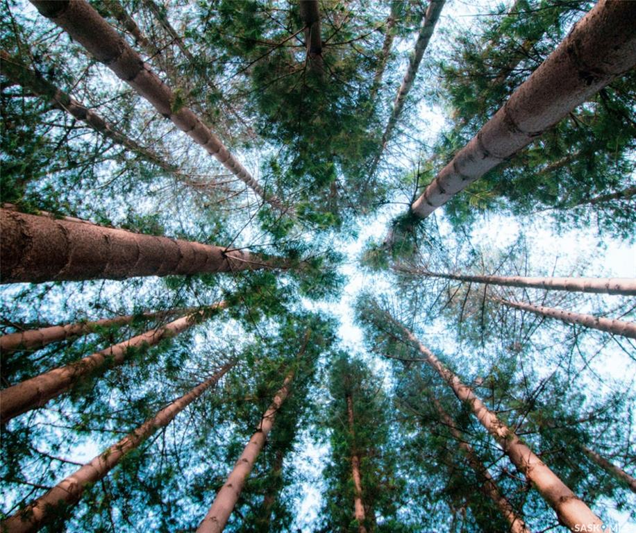 Lot 3 Block 4 South Shore Lane, SK026840, Saskatchewan,