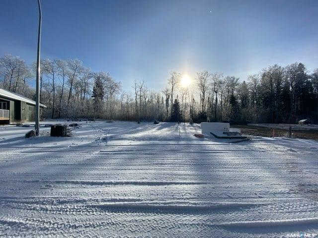 Fifth View of 101 Neis Access Road #27, Lakeland Rm No. 521, Saskatchewan, S0J 0N0
