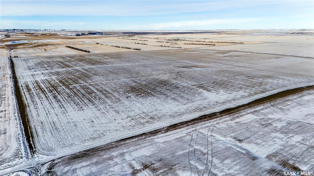 1 Quarter Premium Grainland Near Willow Bunch, SK029500, Saskatchewan,
