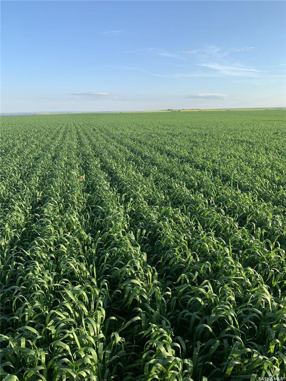 Second View of Murdoch Farmland, Birsay (Coteau Rm No. 255), Coteau Rm No. 255, Saskatchewan, S0L 0G0
