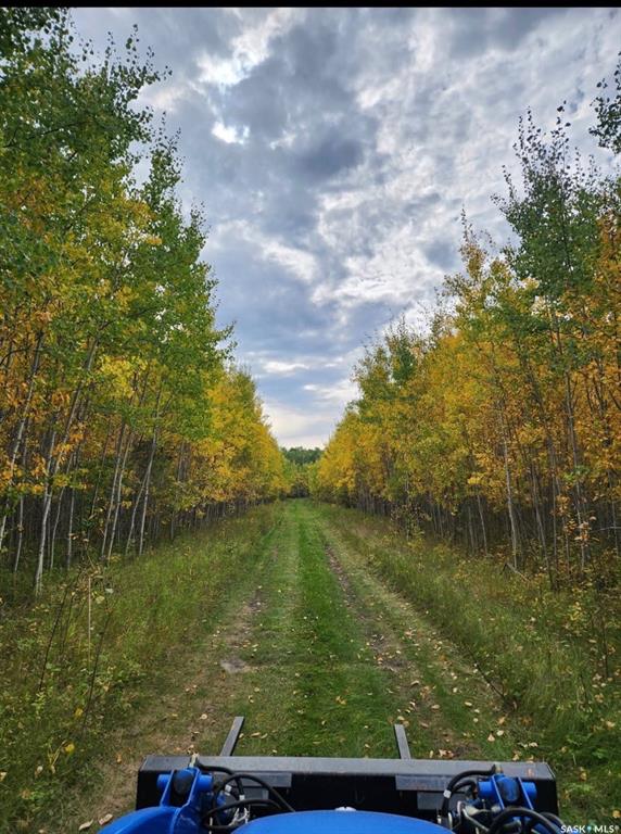 Fifth View of Lot 4 Poplar Grove Estates, Meadow Lake Rm No.588, Saskatchewan, S9X 1Y7