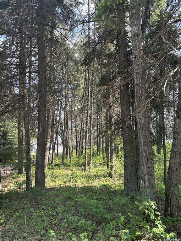 305 Spruce Road, SK031938, Saskatchewan,