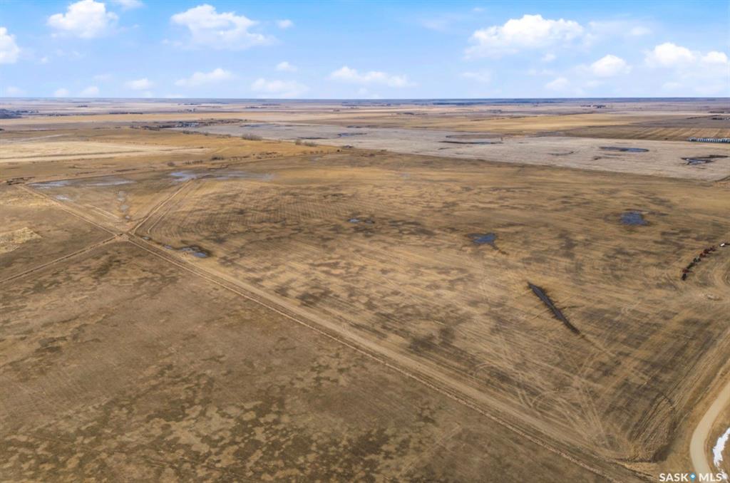 Weyburn Durum Quarter, SK032686, Saskatchewan,