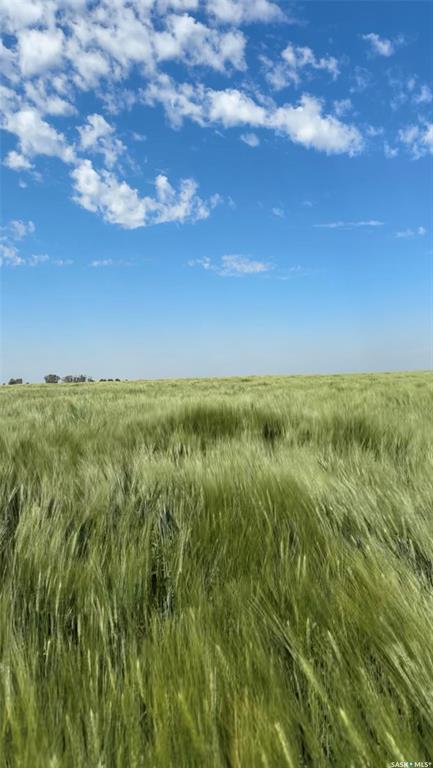 Second View of Weyburn Durum Quarter, Weyburn Rm No. 67, Saskatchewan, S4H 3J9